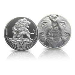 Big 5 Serie III - Lion...