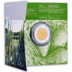 Roseau avec fauvette des...