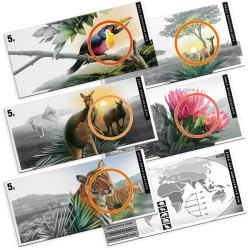 Flat Bar: Subtropische Zone...