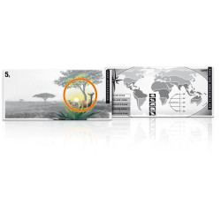 Flat Bar: Subtropische Zone...