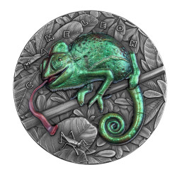 Caméléon - Animaux...