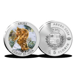 Cabay di Awa Aruba Zilver...