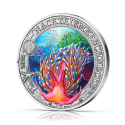 Vie marine lumineuse - Le...