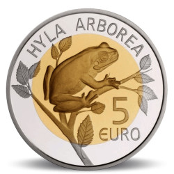 Grenouille arboricole...